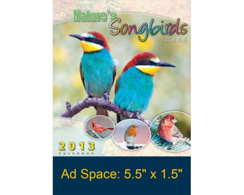 Desk Calendar DC13